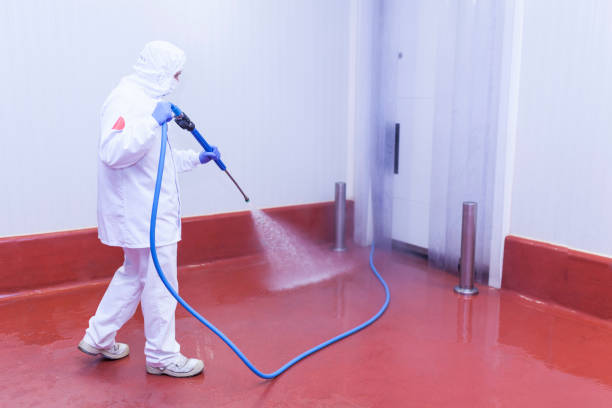 Reliable Smithville, MO Pressure Washing Services Solutions